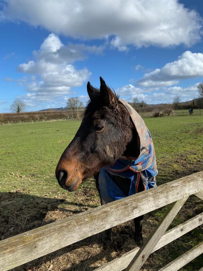 Chadwell Hill Farm * Longwick