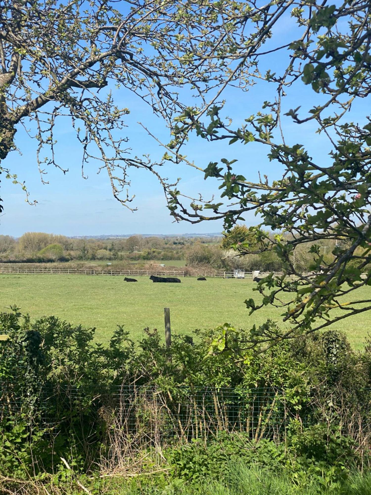 Chadwell Hill Farm Bed & Breakfast Longwick